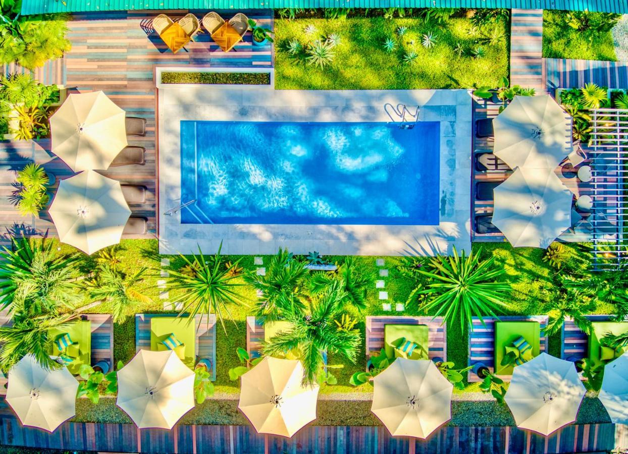 Exotico Beach Hotel Puerto Viejo de Talamanca Ngoại thất bức ảnh