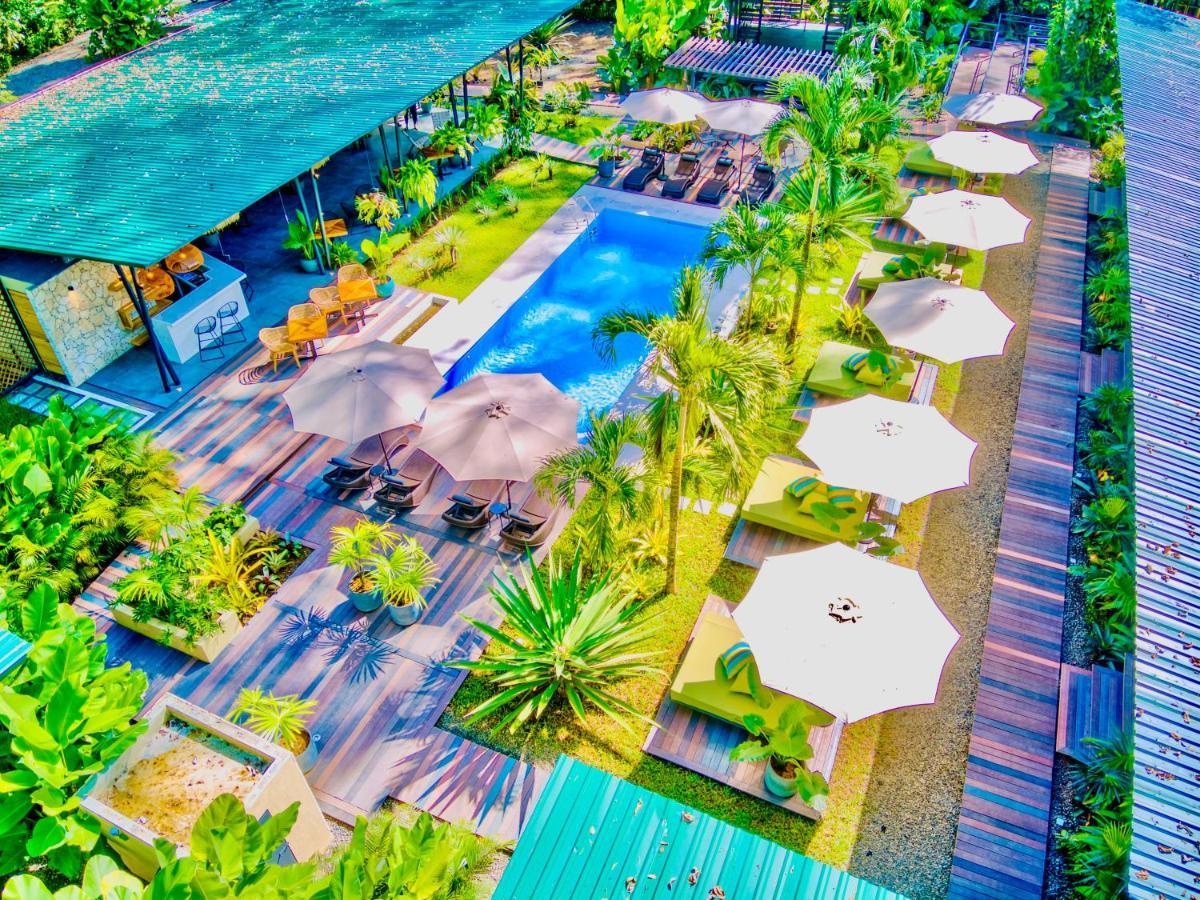 Exotico Beach Hotel Puerto Viejo de Talamanca Ngoại thất bức ảnh