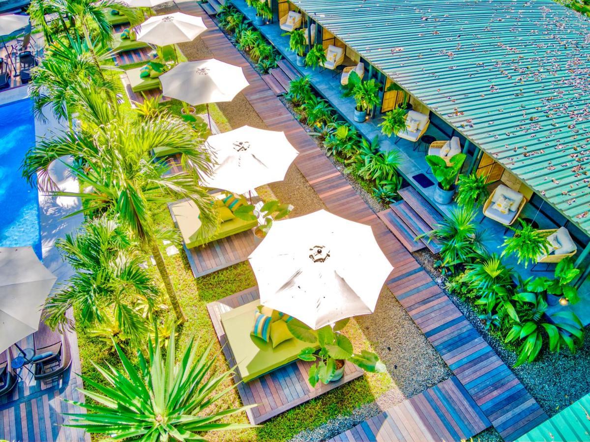 Exotico Beach Hotel Puerto Viejo de Talamanca Ngoại thất bức ảnh
