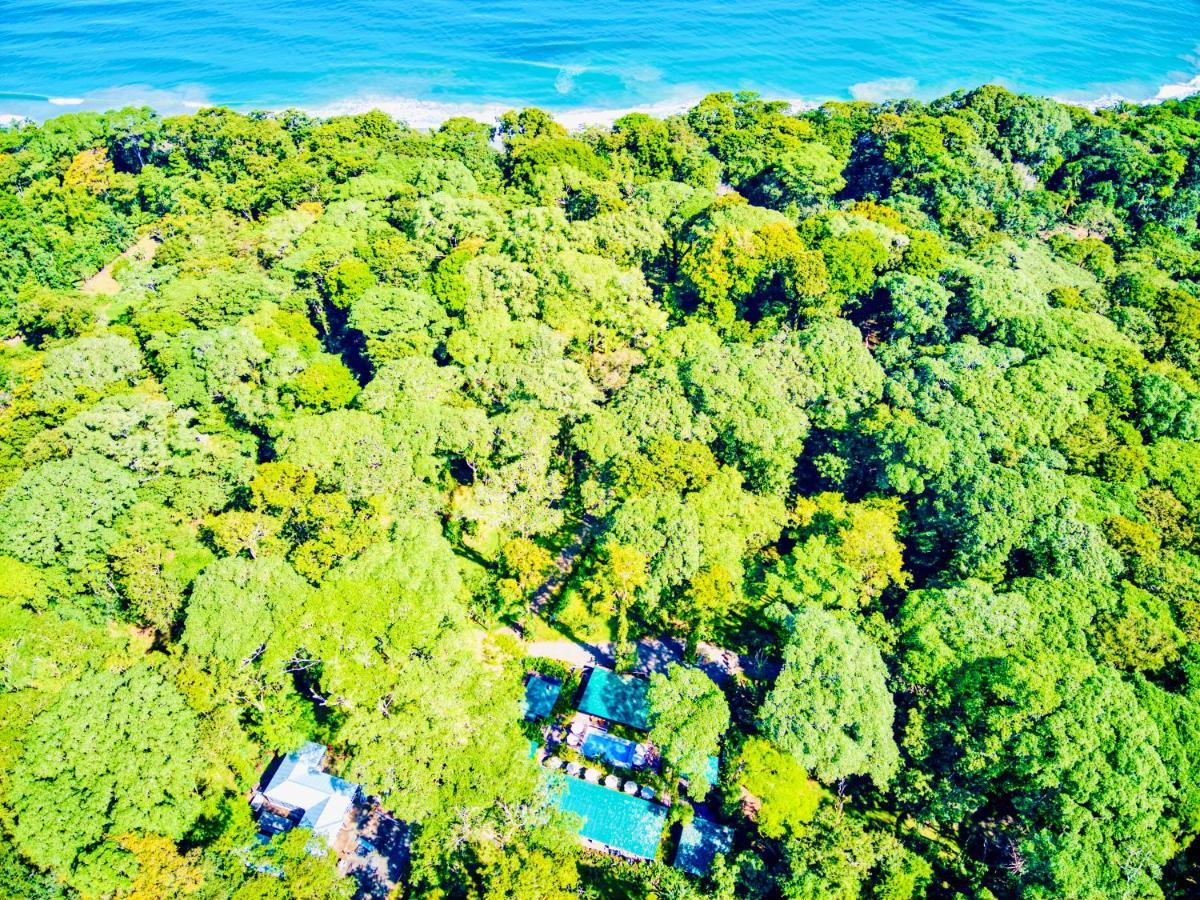 Exotico Beach Hotel Puerto Viejo de Talamanca Ngoại thất bức ảnh