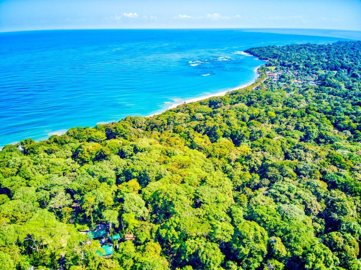 Exotico Beach Hotel Puerto Viejo de Talamanca Ngoại thất bức ảnh